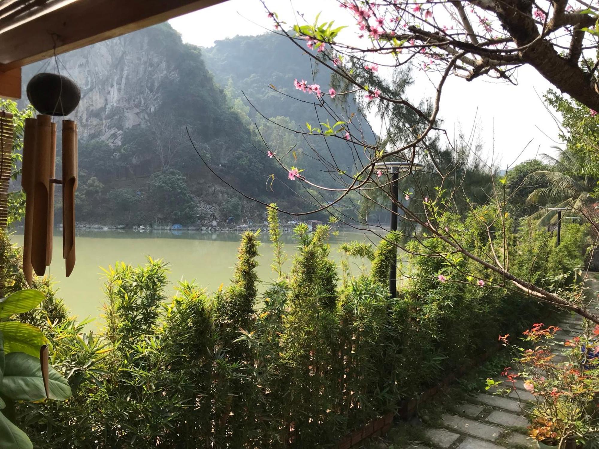 Blue Lagoon Cat Ba Dong Khe Sau Ngoại thất bức ảnh