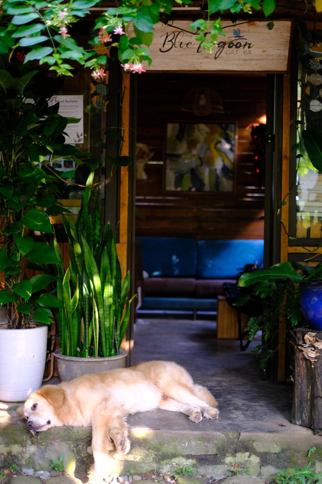 Blue Lagoon Cat Ba Dong Khe Sau Ngoại thất bức ảnh
