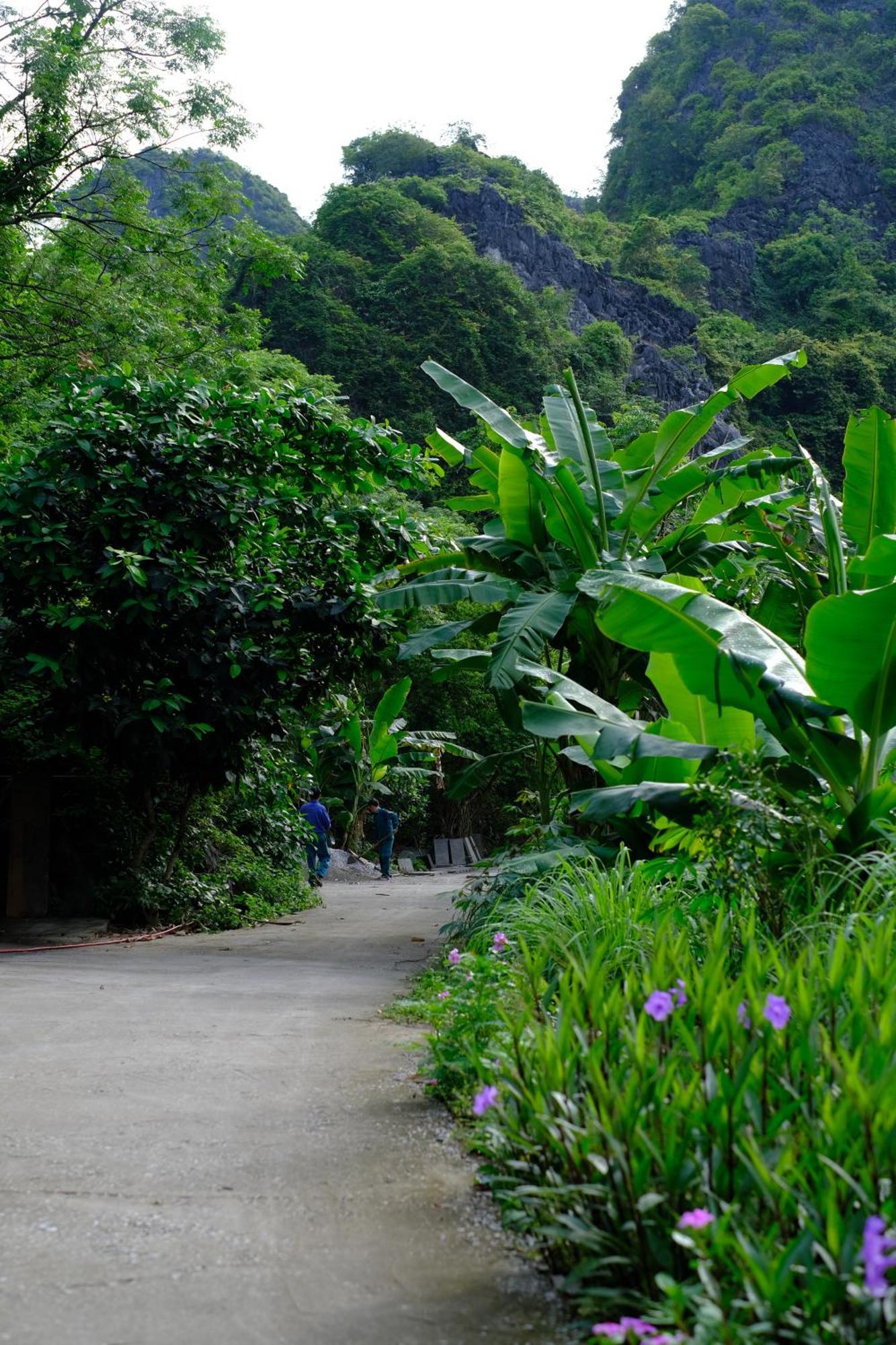 Blue Lagoon Cat Ba Dong Khe Sau Ngoại thất bức ảnh