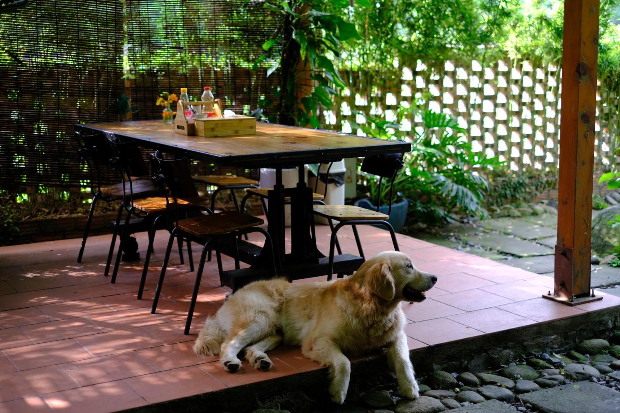 Blue Lagoon Cat Ba Dong Khe Sau Ngoại thất bức ảnh