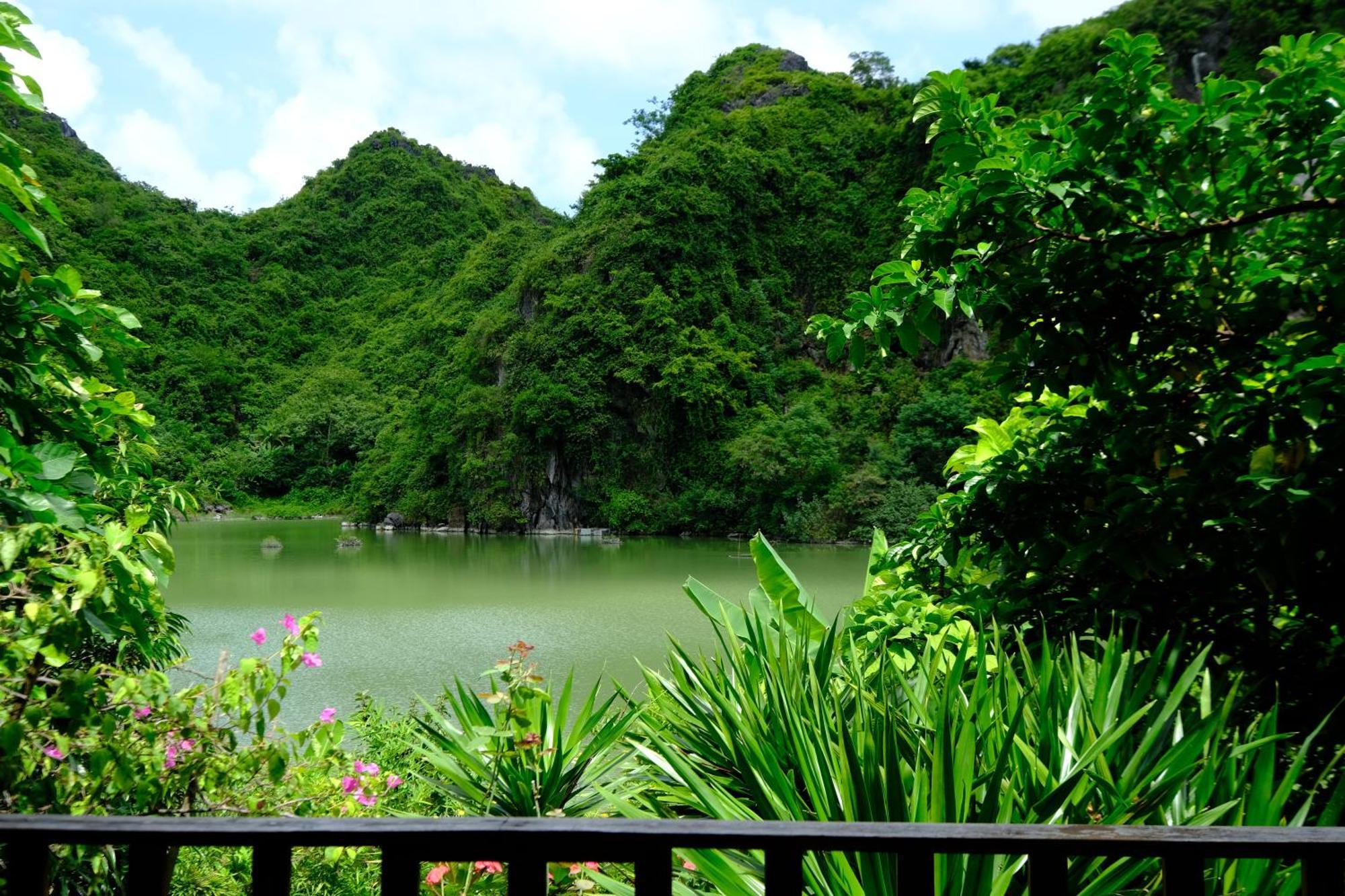 Blue Lagoon Cat Ba Dong Khe Sau Ngoại thất bức ảnh