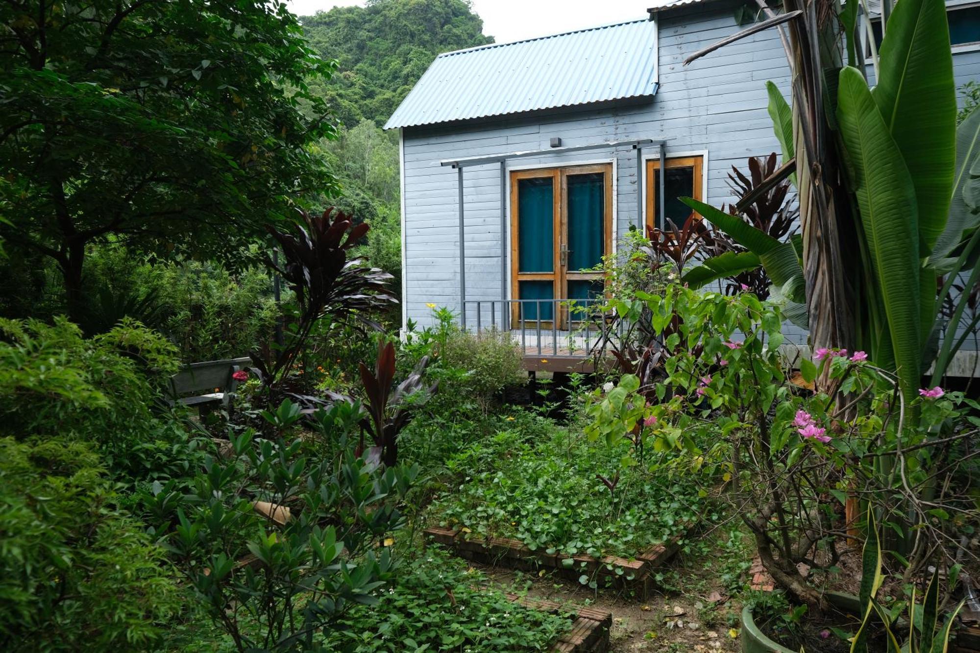 Blue Lagoon Cat Ba Dong Khe Sau Ngoại thất bức ảnh